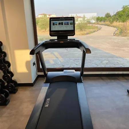 Hotel Hospes Palacio De Arenales &