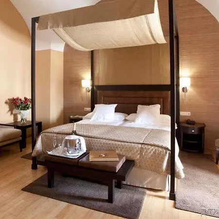 Hospes Palacio De Arenales & Caces
