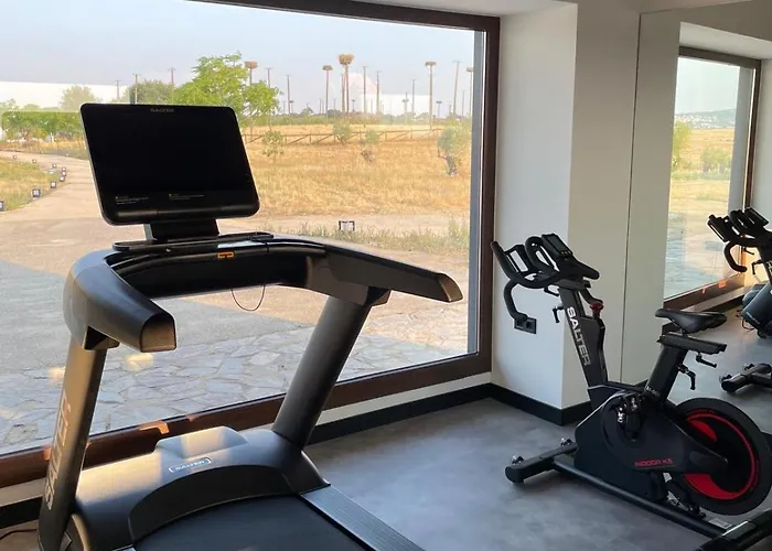 Hospes Palacio De Arenales & Caces