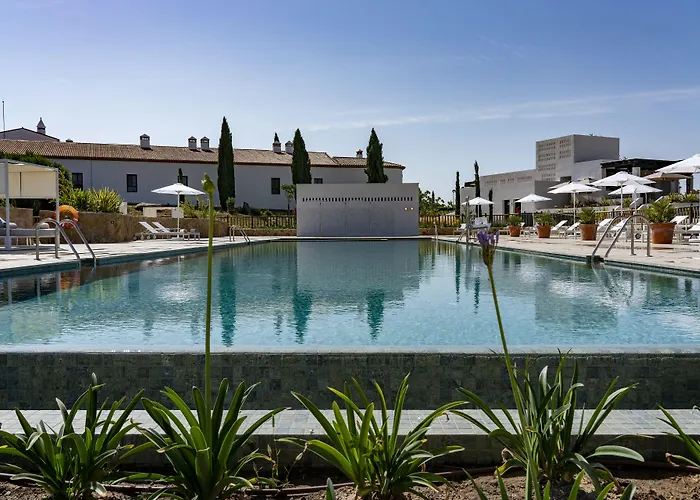 Отель Hospes Palacio De Arenales & 5*